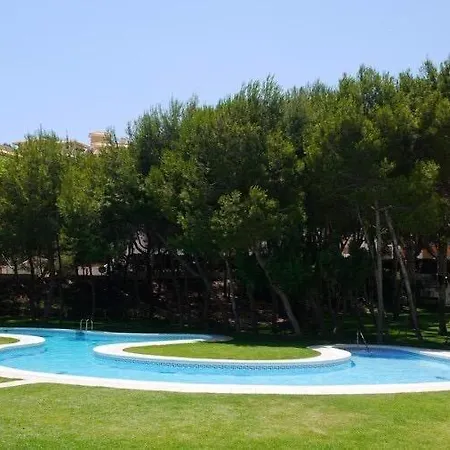 2-bedroom And Living Near Appartement Campoamor